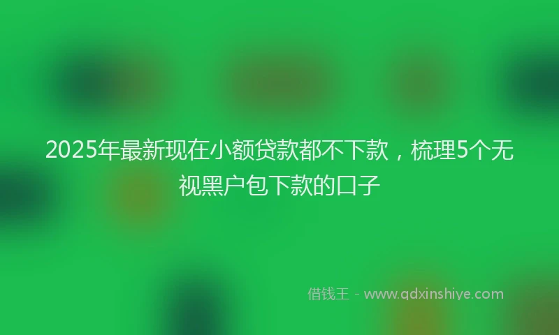 2025年最新现在小额贷款都不下款，梳理5个无视黑户包下款的口子