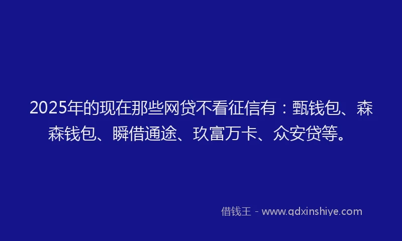2025年的现在那些网贷不看征信有：甄钱包、森森钱包、瞬借通途、玖富万卡、众安贷等。