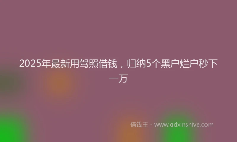 2025年最新用驾照借钱，归纳5个黑户烂户秒下一万
