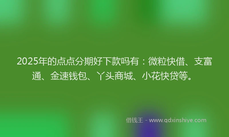 2025年的点点分期好下款吗有：微粒快借、支富通、金速钱包、丫头商城、小花快贷等。