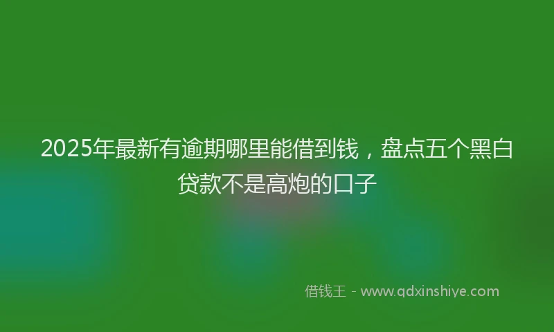 2025年最新有逾期哪里能借到钱，盘点五个黑白贷款不是高炮的口子