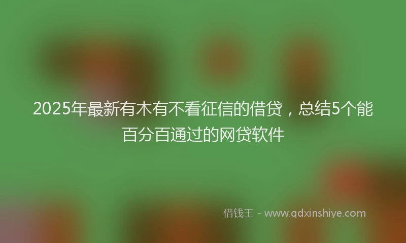 2025年最新有木有不看征信的借贷，总结5个能百分百通过的网贷软件