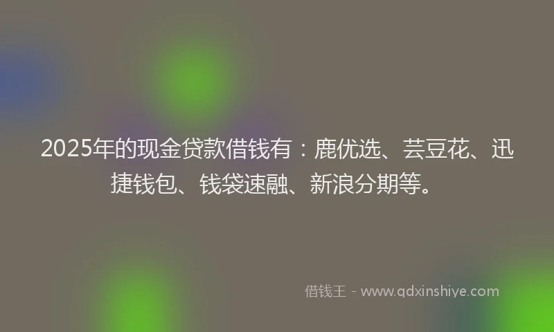 2025年的现金贷款借钱有：鹿优选、芸豆花、迅捷钱包、钱袋速融、新浪分期等。