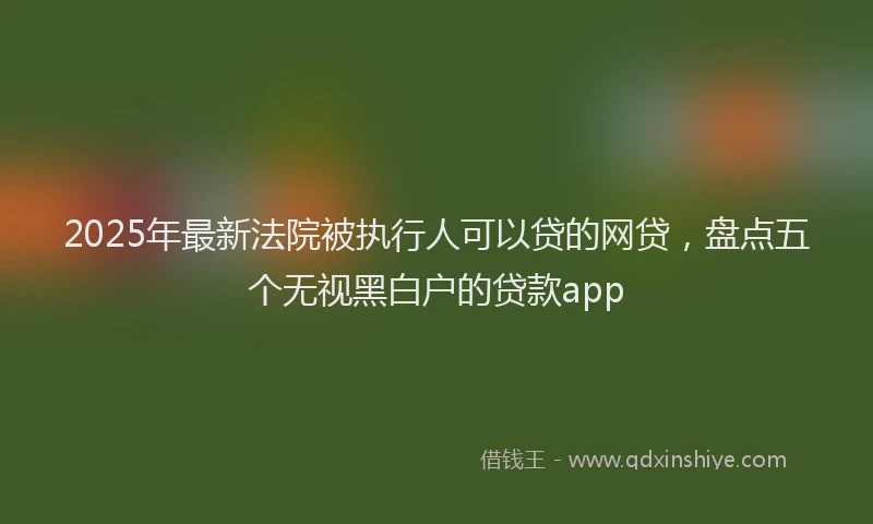2025年最新法院被执行人可以贷的网贷，盘点五个无视黑白户的贷款app