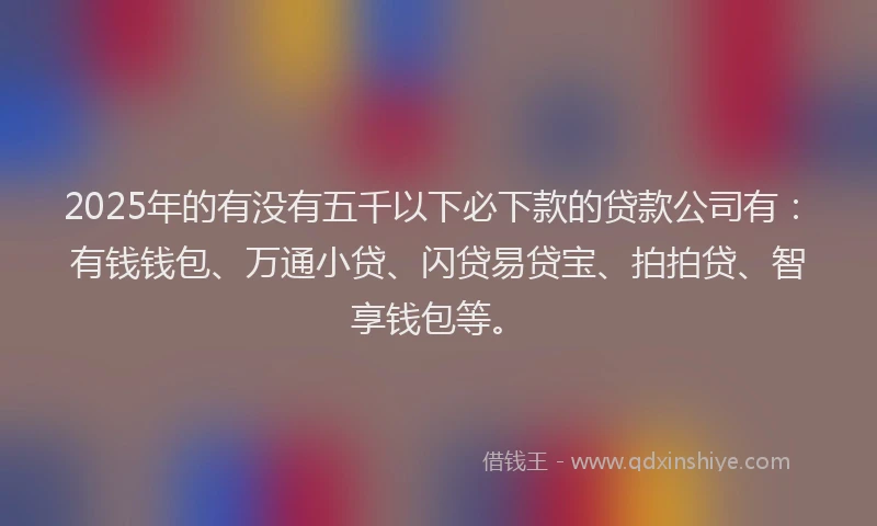 2025年的有没有五千以下必下款的贷款公司有：有钱钱包、万通小贷、闪贷易贷宝、拍拍贷、智享钱包等。