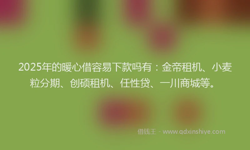 2025年的暖心借容易下款吗有：金帝租机、小麦粒分期、创硕租机、任性贷、一川商城等。