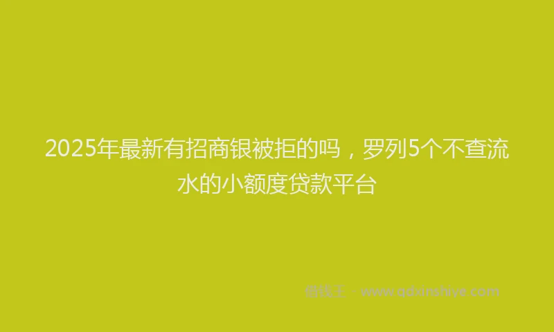2025年最新有招商银被拒的吗，罗列5个不查流水的小额度贷款平台