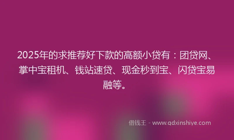 2025年的求推荐好下款的高额小贷有：团贷网、掌中宝租机、钱站速贷、现金秒到宝、闪贷宝易融等。