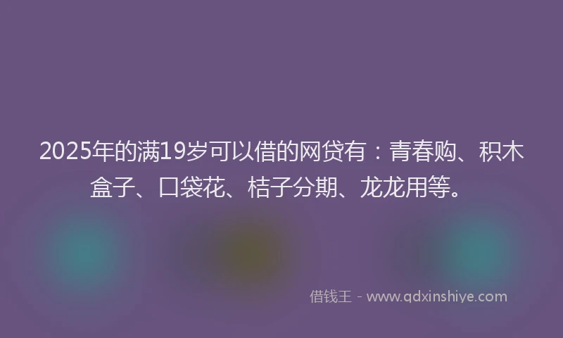 2025年的满19岁可以借的网贷有：青春购、积木盒子、口袋花、桔子分期、龙龙用等。