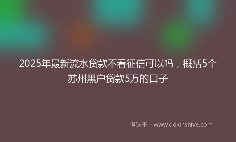 2025年最新流水贷款不看征信可以吗，概括5个苏州黑户贷款5万的口子