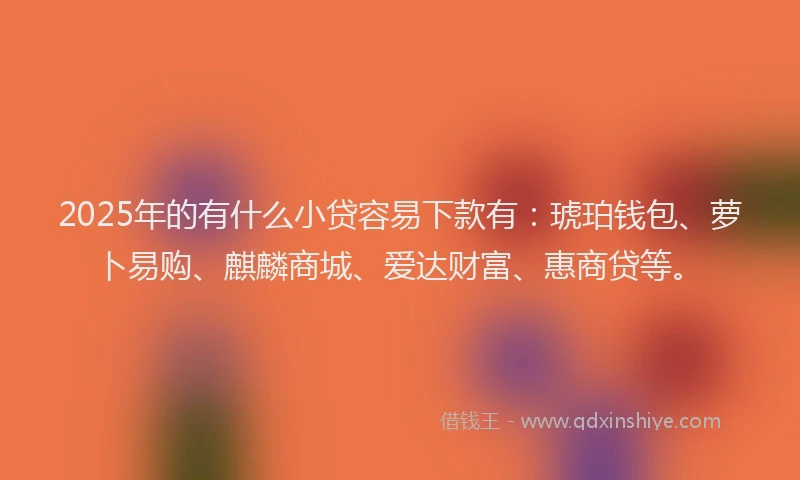 2025年的有什么小贷容易下款有：琥珀钱包、萝卜易购、麒麟商城、爱达财富、惠商贷等。