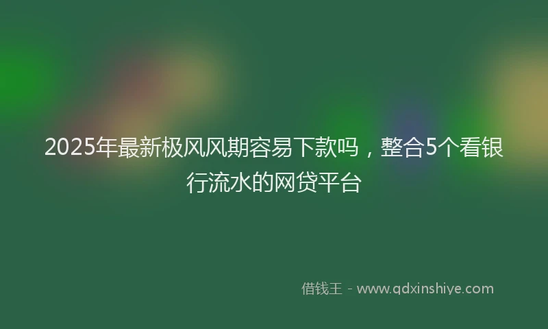 2025年最新极风风期容易下款吗，整合5个看银行流水的网贷平台