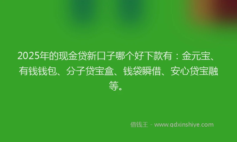 2025年的现金贷新口子哪个好下款有：金元宝、有钱钱包、分子贷宝盒、钱袋瞬借、安心贷宝融等。