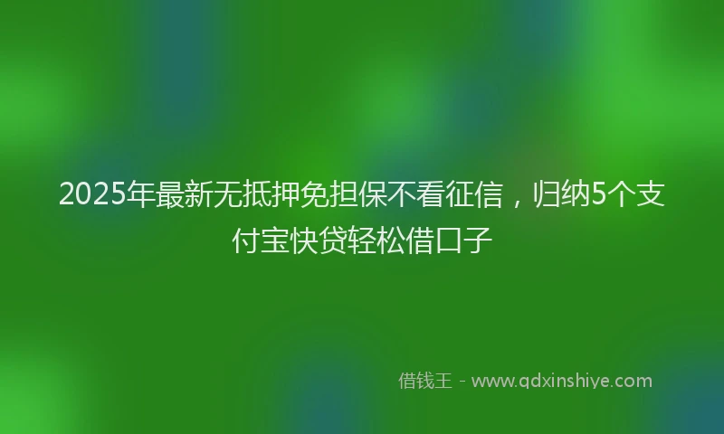 2025年最新无抵押免担保不看征信，归纳5个支付宝快贷轻松借口子