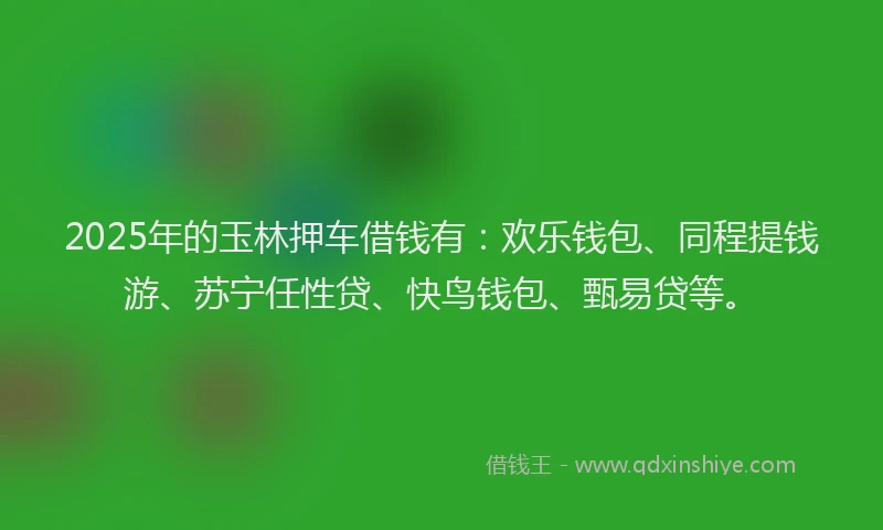 2025年的玉林押车借钱有：欢乐钱包、同程提钱游、苏宁任性贷、快鸟钱包、甄易贷等。