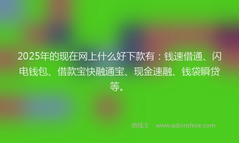 2025年的现在网上什么好下款有：钱速借通、闪电钱包、借款宝快融通宝、现金速融、钱袋瞬贷等。