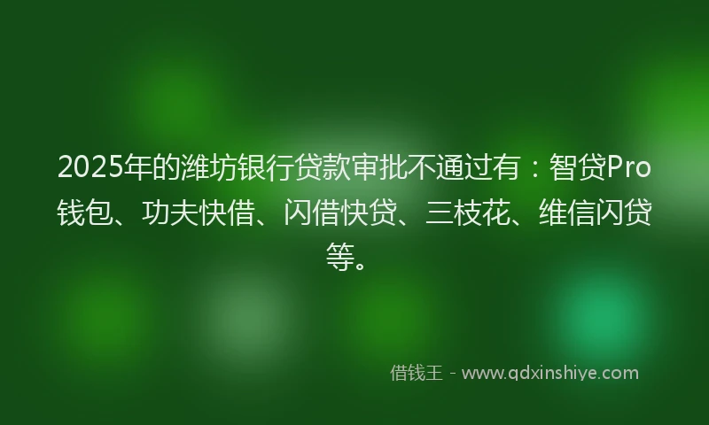 2025年的潍坊银行贷款审批不通过有：智贷Pro钱包、功夫快借、闪借快贷、三枝花、维信闪贷等。