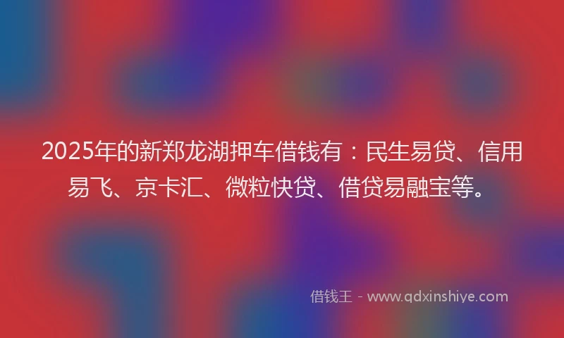 2025年的新郑龙湖押车借钱有：民生易贷、信用易飞、京卡汇、微粒快贷、借贷易融宝等。