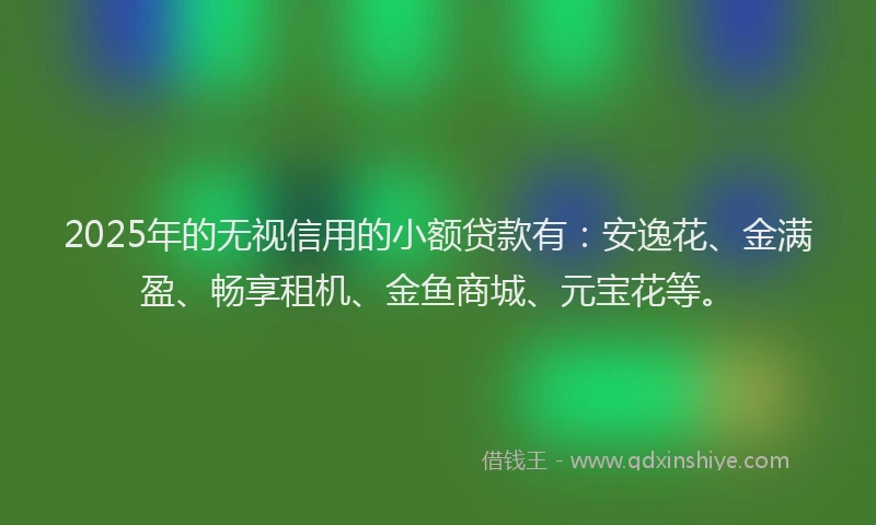 2025年的无视信用的小额贷款有：安逸花、金满盈、畅享租机、金鱼商城、元宝花等。