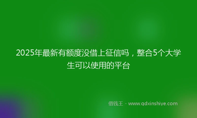 2025年最新有额度没借上征信吗，整合5个大学生可以使用的平台
