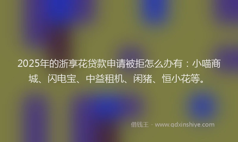2025年的浙享花贷款申请被拒怎么办有：小喵商城、闪电宝、中益租机、闲猪、恒小花等。
