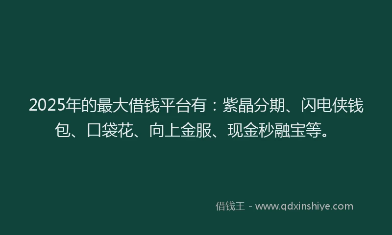 2025年的最大借钱平台有：紫晶分期、闪电侠钱包、口袋花、向上金服、现金秒融宝等。