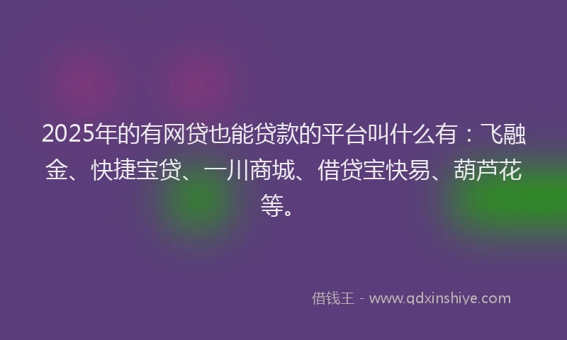 2025年的有网贷也能贷款的平台叫什么有：飞融金、快捷宝贷、一川商城、借贷宝快易、葫芦花等。