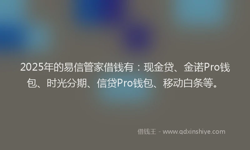 2025年的易信管家借钱有：现金贷、金诺Pro钱包、时光分期、信贷Pro钱包、移动白条等。