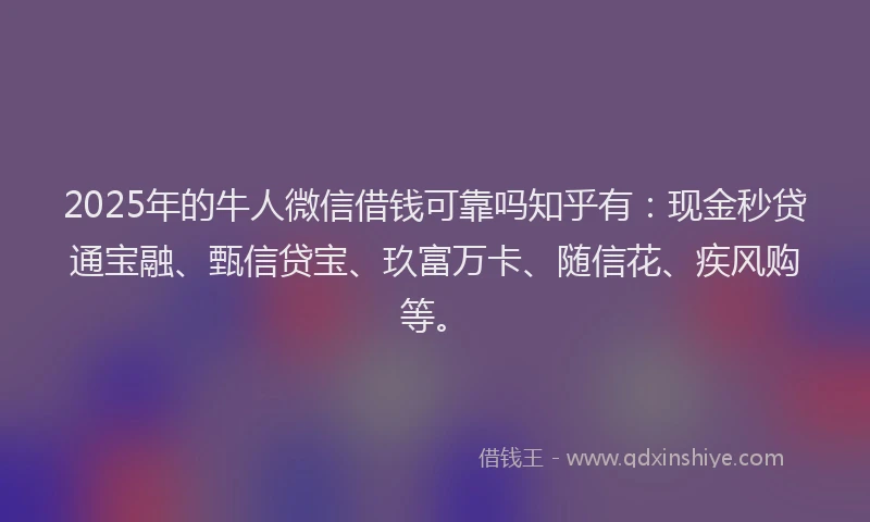 2025年的牛人微信借钱可靠吗知乎有：现金秒贷通宝融、甄信贷宝、玖富万卡、随信花、疾风购等。