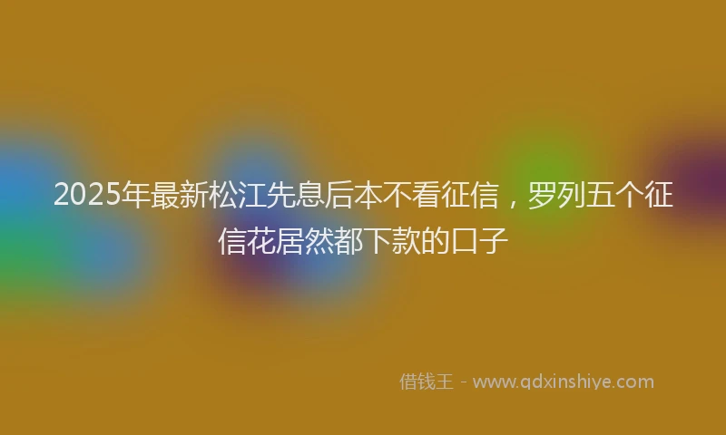 2025年最新松江先息后本不看征信，罗列五个征信花居然都下款的口子