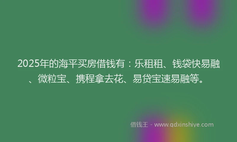 2025年的海平买房借钱有：乐租租、钱袋快易融、微粒宝、携程拿去花、易贷宝速易融等。