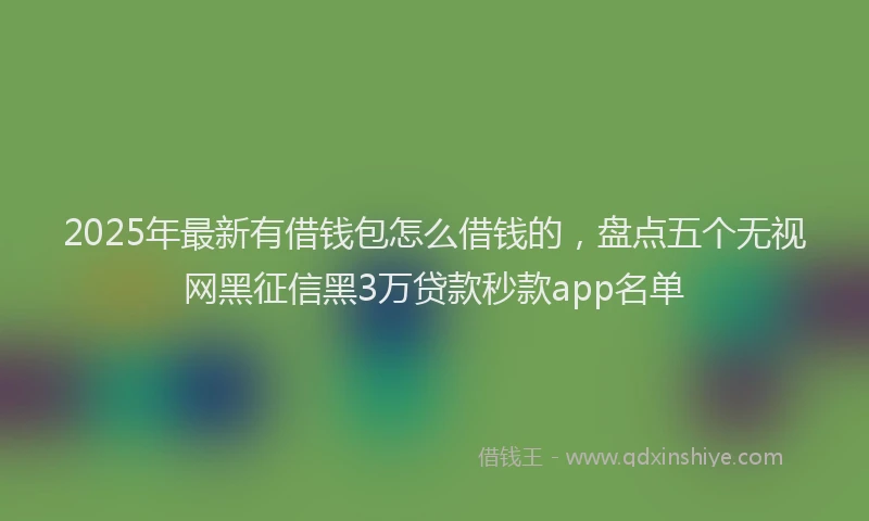 2025年最新有借钱包怎么借钱的，盘点五个无视网黑征信黑3万贷款秒款app名单