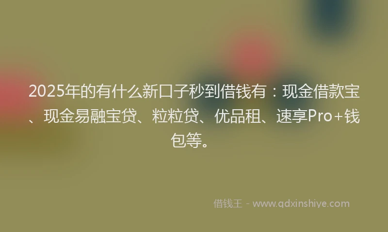 2025年的有什么新口子秒到借钱有：现金借款宝、现金易融宝贷、粒粒贷、优品租、速享Pro+钱包等。