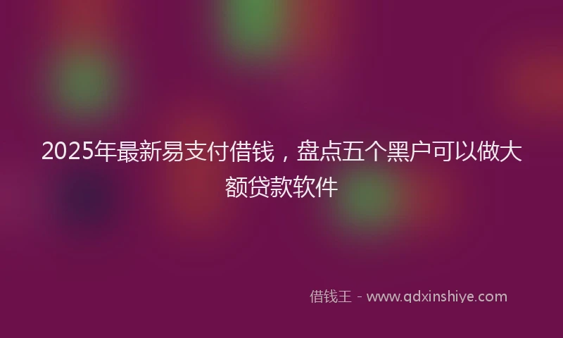 2025年最新易支付借钱，盘点五个黑户可以做大额贷款软件