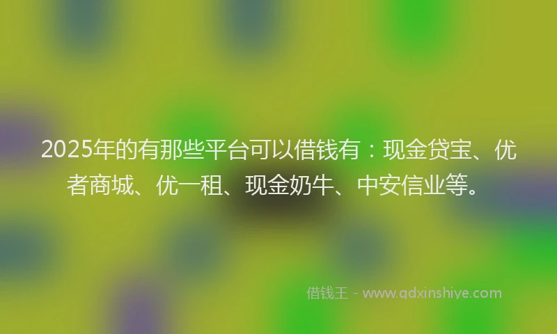 2025年的有那些平台可以借钱有：现金贷宝、优者商城、优一租、现金奶牛、中安信业等。
