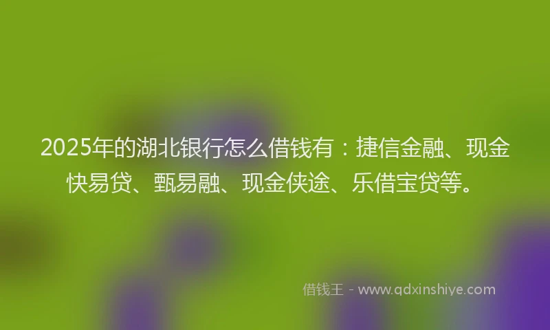2025年的湖北银行怎么借钱有：捷信金融、现金快易贷、甄易融、现金侠途、乐借宝贷等。