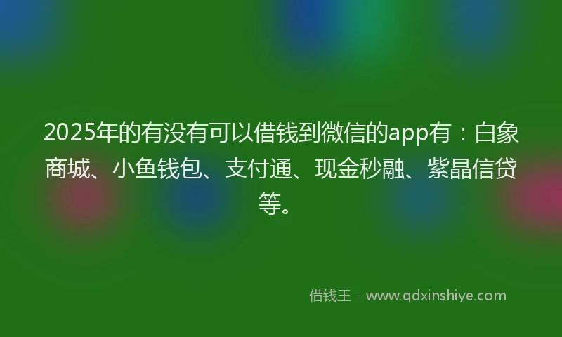 2025年的有没有可以借钱到微信的app有：白象商城、小鱼钱包、支付通、现金秒融、紫晶信贷等。
