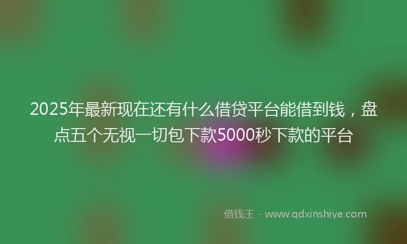 2025年最新现在还有什么借贷平台能借到钱，盘点五个无视一切包下款5000秒下款的平台