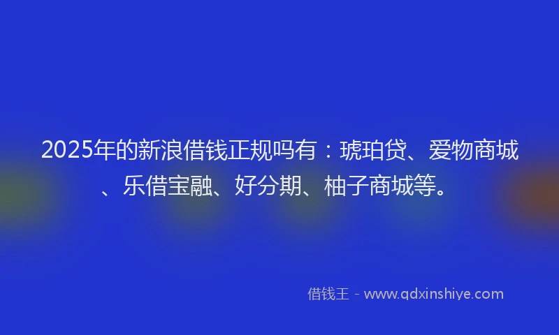 2025年的新浪借钱正规吗有：琥珀贷、爱物商城、乐借宝融、好分期、柚子商城等。