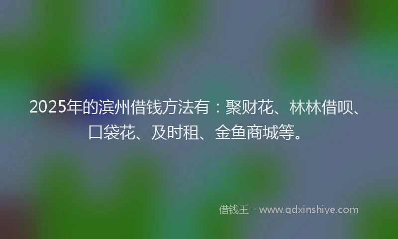 2025年的滨州借钱方法有：聚财花、林林借呗、口袋花、及时租、金鱼商城等。