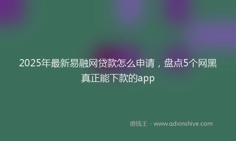 2025年最新易融网贷款怎么申请，盘点5个网黑真正能下款的app