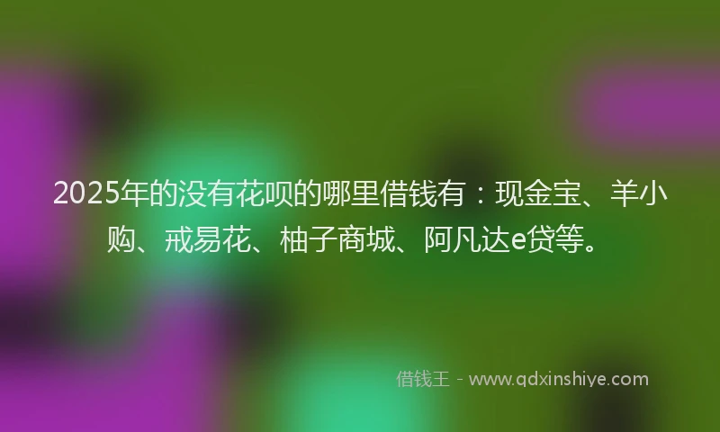 2025年的没有花呗的哪里借钱有：现金宝、羊小购、戒易花、柚子商城、阿凡达e贷等。