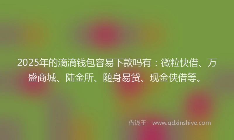 2025年的滴滴钱包容易下款吗有：微粒快借、万盛商城、陆金所、随身易贷、现金侠借等。
