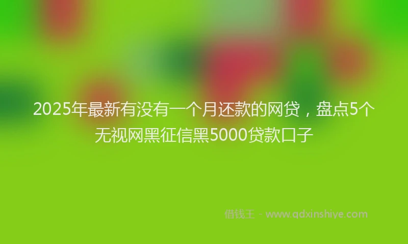 2025年最新有没有一个月还款的网贷，盘点5个无视网黑征信黑5000贷款口子