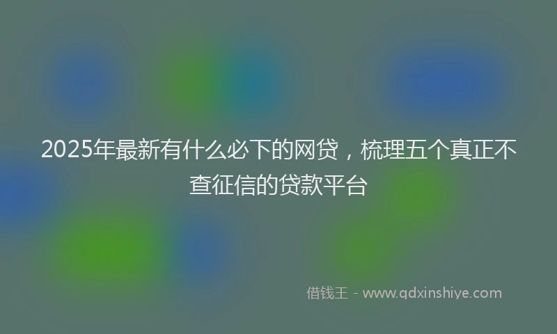 2025年最新有什么必下的网贷，梳理五个真正不查征信的贷款平台
