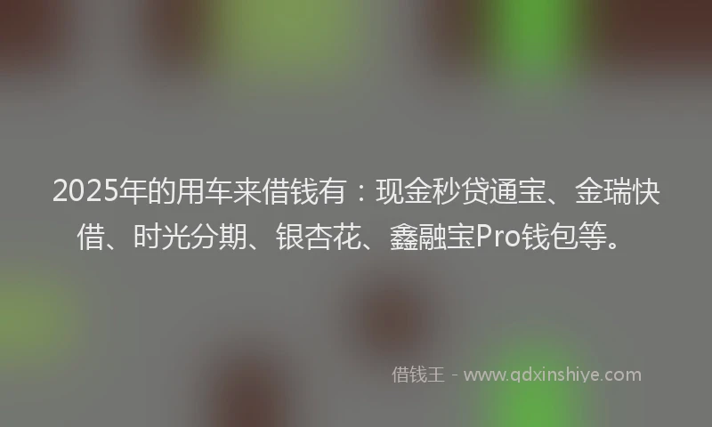 2025年的用车来借钱有：现金秒贷通宝、金瑞快借、时光分期、银杏花、鑫融宝Pro钱包等。