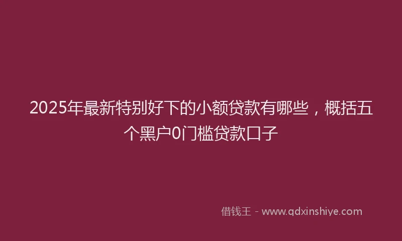 2025年最新特别好下的小额贷款有哪些，概括五个黑户0门槛贷款口子