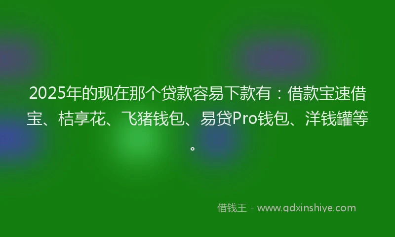 2025年的现在那个贷款容易下款有：借款宝速借宝、桔享花、飞猪钱包、易贷Pro钱包、洋钱罐等。