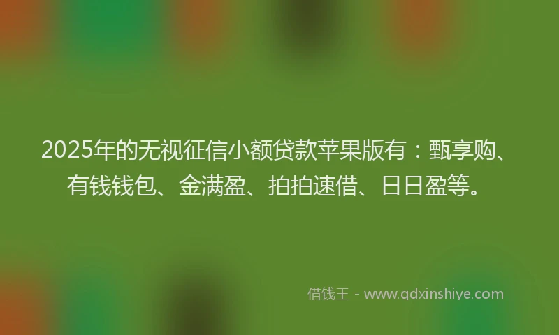 2025年的无视征信小额贷款苹果版有：甄享购、有钱钱包、金满盈、拍拍速借、日日盈等。