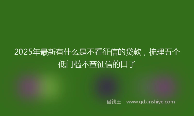 2025年最新有什么是不看征信的贷款，梳理五个低门槛不查征信的口子